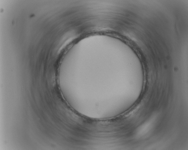 X0000075891306200610151741