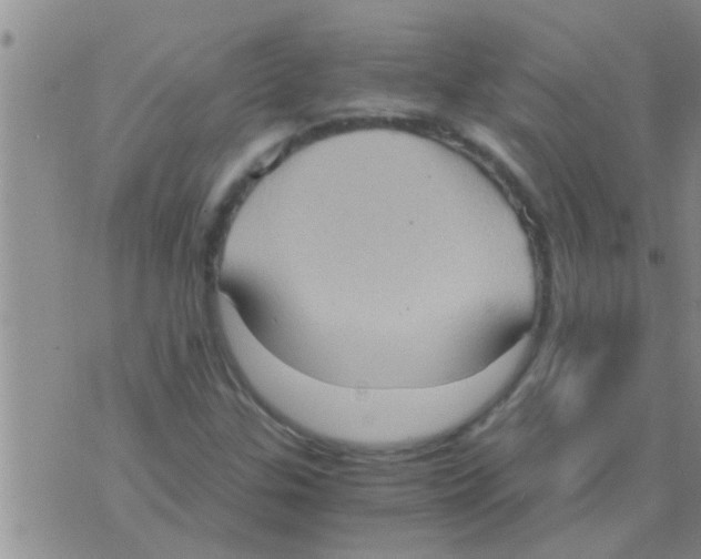 X0000075891307200610151741