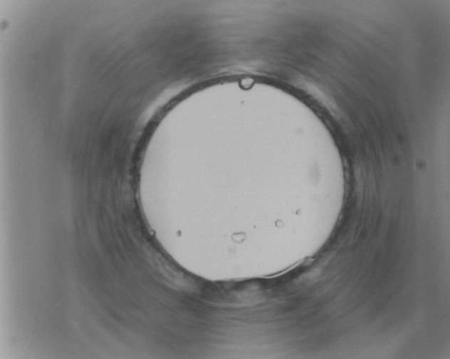 X0000075891308200610151741