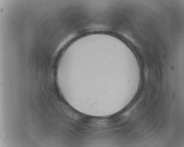 X0000075891309200610151741