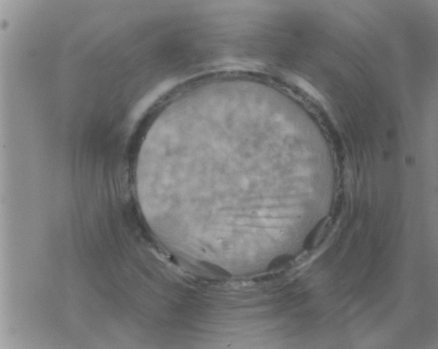 X0000075891310200610151741