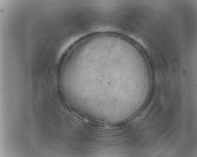 X0000075891311200610151741