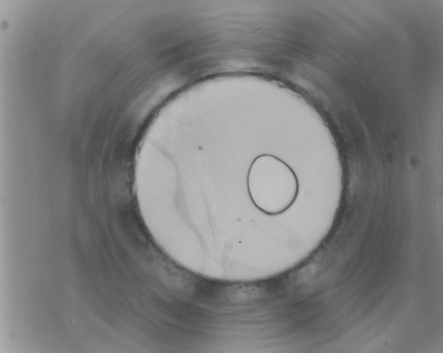 X0000075891314200610151741