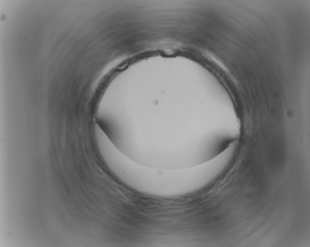 X0000075891315200610151741