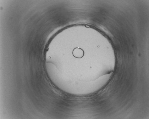 X0000075891316200610151741