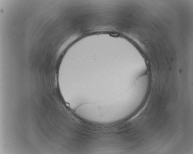 X0000075891317200610151741