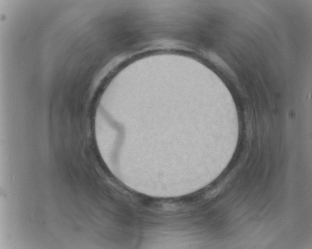 X0000075891318200610151741