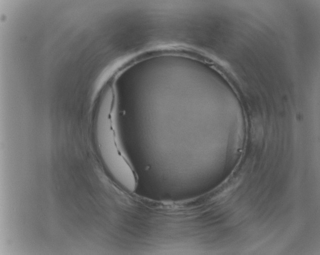 X0000075891319200610151741