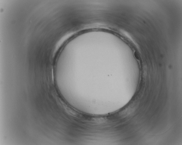 X0000075891320200610151741