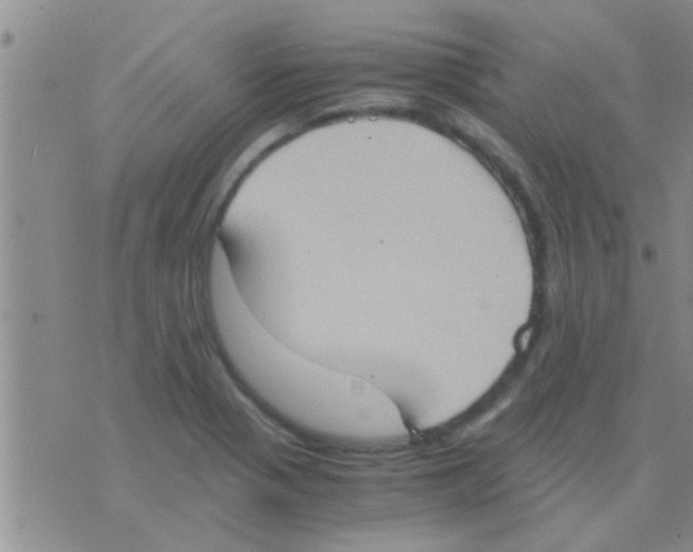 X0000075891321200610151741