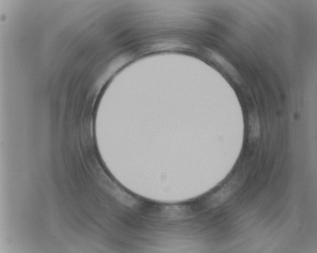 X0000075891322200610151741