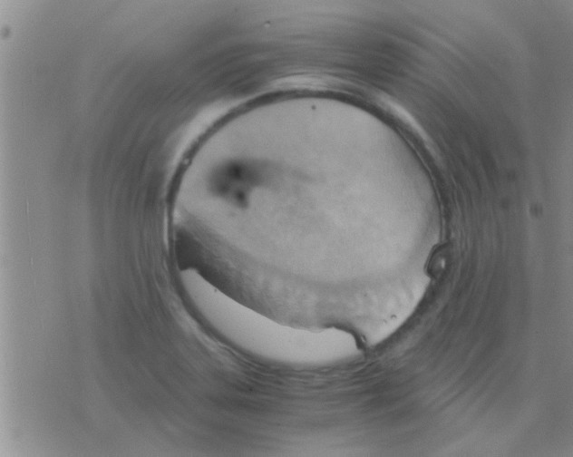 X0000075891323200610151741