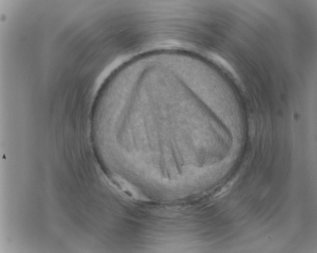 X0000075891326200610151741