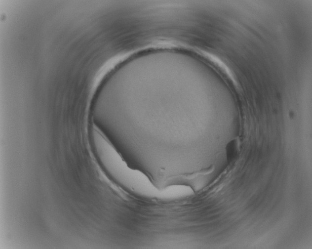 X0000075891327200610151741