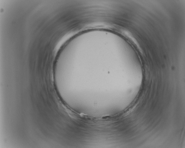 X0000075891328200610151741