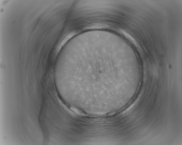 X0000075891329200610151741