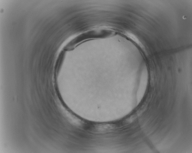 X0000075891331200610151741