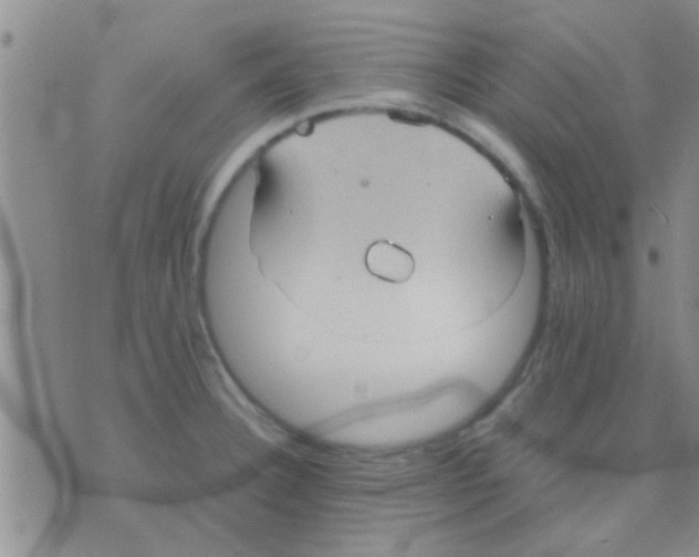 X0000075891332200610151741