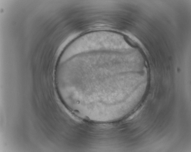 X0000075891333200610151741