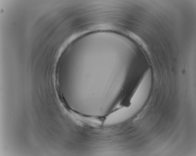 X0000075891334200610151741