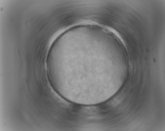 X0000075891335200610151741