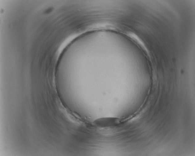 X0000075891336200610151741