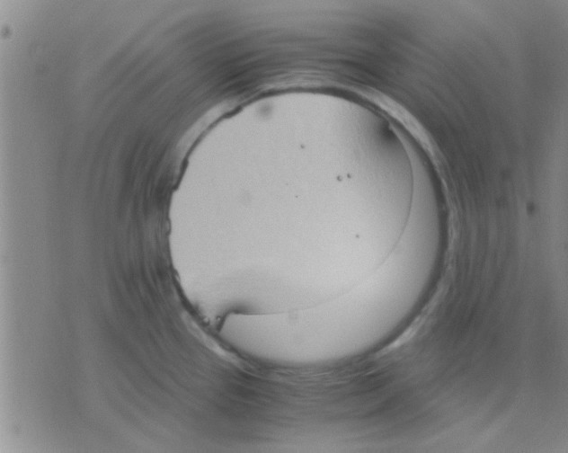 X0000075891337200610151741