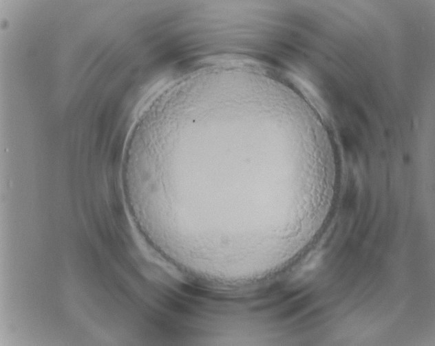 X0000075891338200610151741