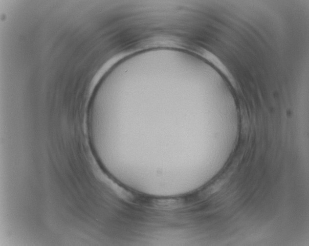 X0000075891339200610151741