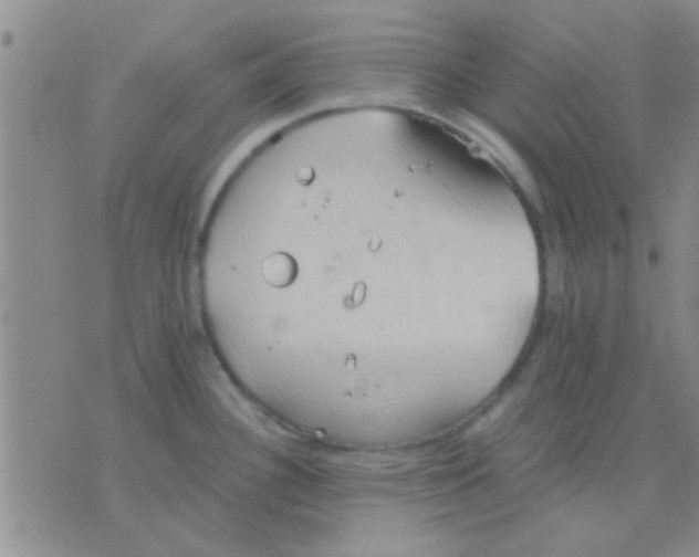 X0000075891340200610151741