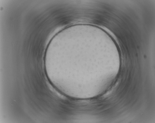 X0000075891341200610151741