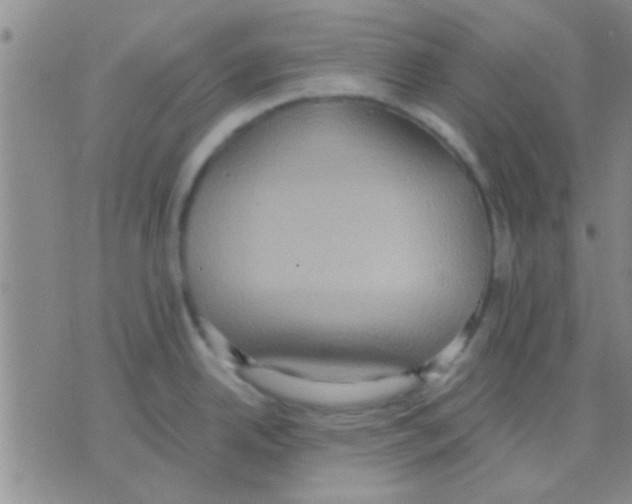 X0000075891342200610151742