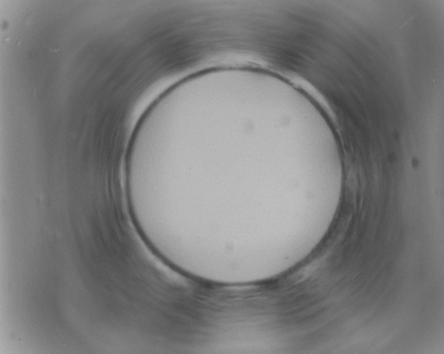 X0000075891343200610151742