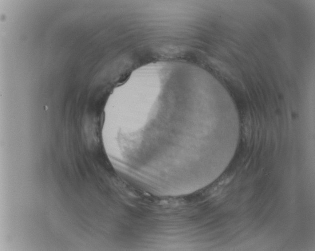 X0000075891346200610151741