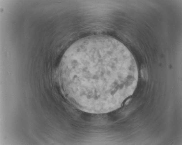 X0000075891347200610151741