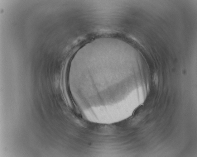 X0000075891348200610151741