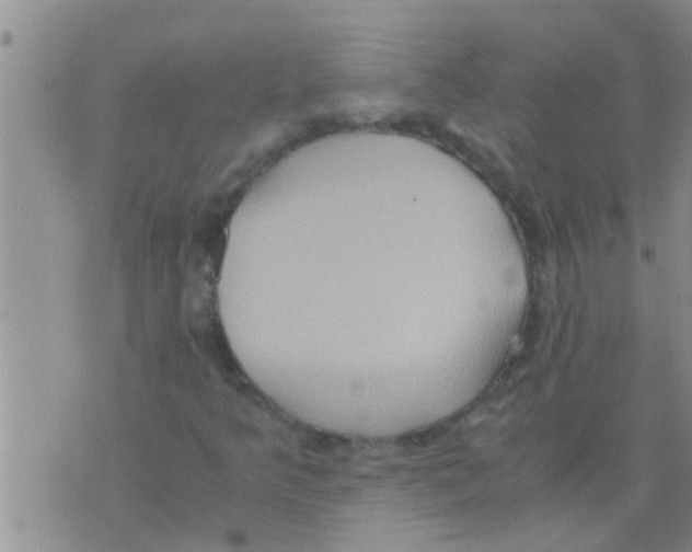 X0000075891349200610151741