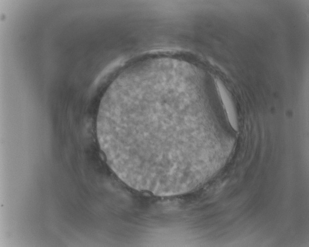 X0000075891351200610151741