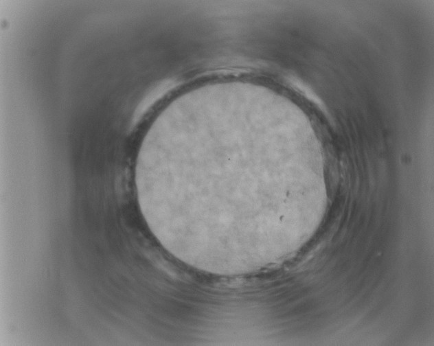 X0000075891352200610151741