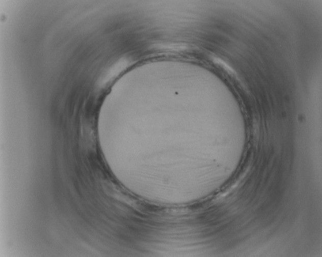 X0000075891354200610151741