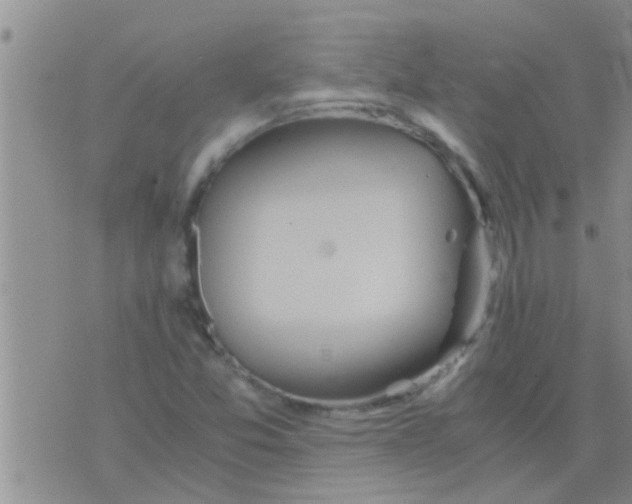 X0000075891357200610151741