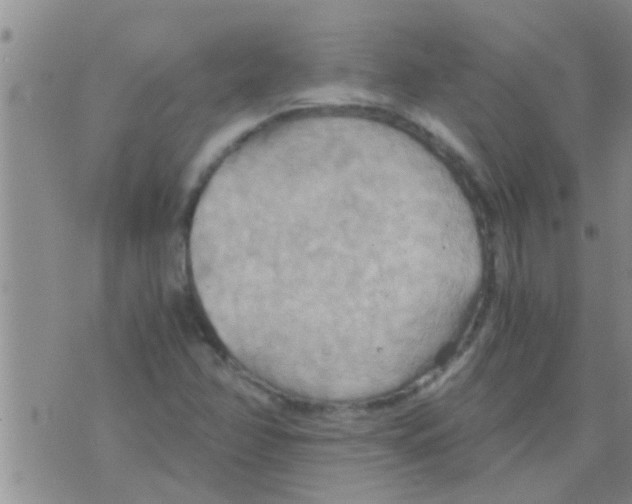 X0000075891358200610151741