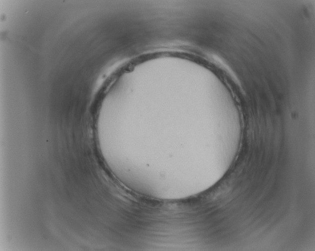 X0000075891360200610151741