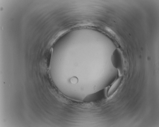 X0000075891361200610151741