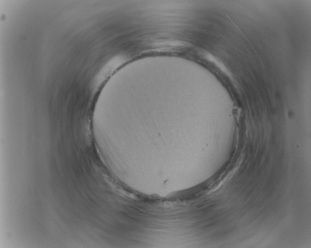 X0000075891362200610151740