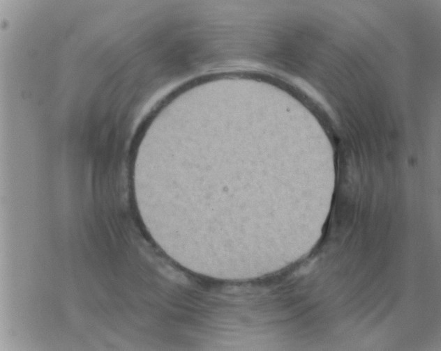 X0000075891364200610151740