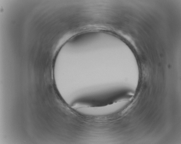 X0000075891365200610151740