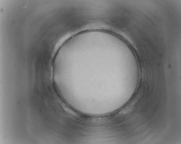 X0000075891366200610151740