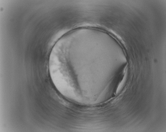 X0000075891367200610151740