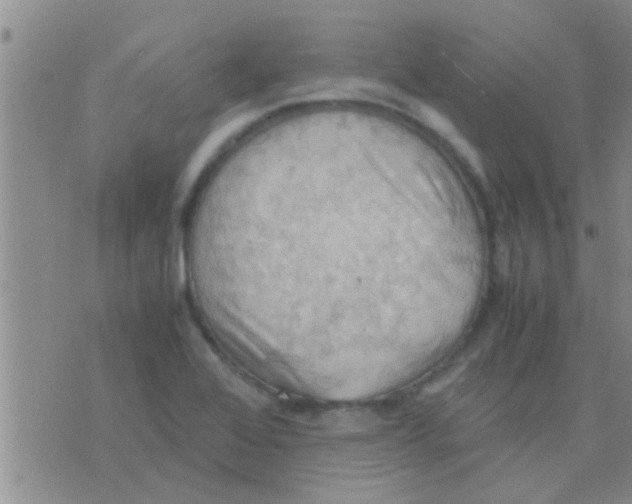 X0000075891368200610151740